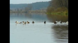 Сож 2016 ноябрь. РЫБАЛКА В МОГИЛЁВСКОЙ ОБЛАСТИ. одиночный сплав. Ночёвка в мороз.