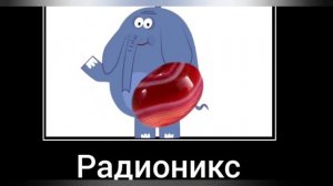 Зебра в клеточку + ШИЗА =