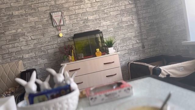 VLOG: Два дня с нами|подарок на др,стригу собачек, лайф влог❤️Йоркширские терьеры,шпиц,корги смотреть онлайн