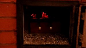 Шашлык в печке