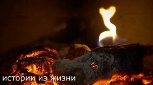 ТЕЩА ЗЯТЬ Пока жены нет. Любовные истории про тещу зятя. Интересные рассказы про тёщу и зятя.