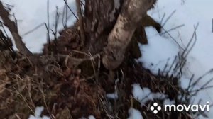 Признаки золота в реке
