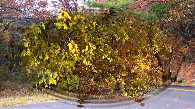 Золотая осень! Открытка смотреть онлайн