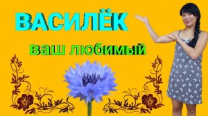 РАСПАКОВКА ПОСЫЛКИ С ПРИМЕРКОЙ ОТ ВАСИЛЬКА