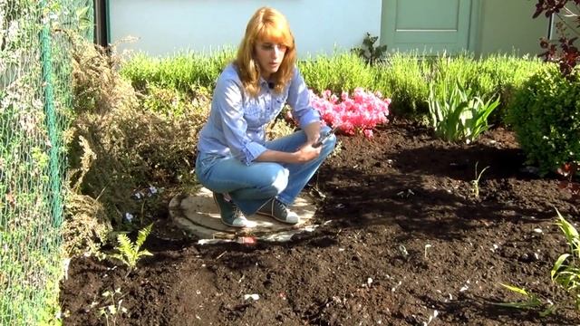 Простой способ борьбы с сорняками