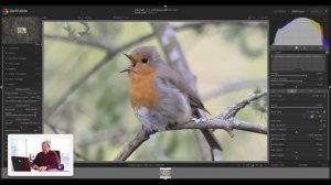 Perfect Bird photos in 5 minutes, how to improve your noisy image.