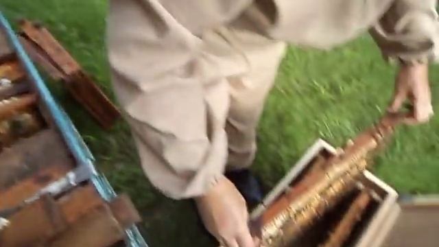 .РОЕНИЯ НЕТ!!! СБОРНЫЙ-КРУПНЫЙ ПЧЕЛИНЫЙ ОТВОДОК 1 СЕРИЯ смотреть онлайн