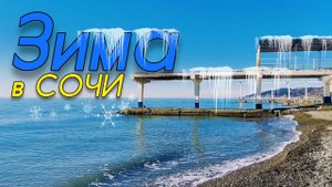 Скоро новый год??? Зима в Сочи.