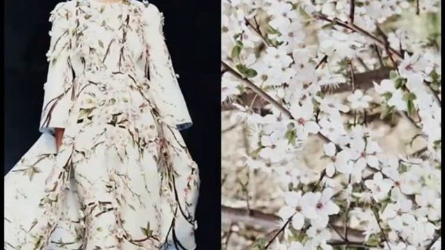 МОДА и ПРИРОДА. Впечатляющие параллели
