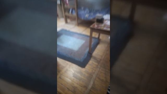 Как выглядит дом чек смотреть онлайн