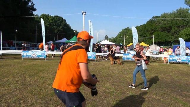 Выставка собак КСУ. Одесса 20 06 21. Ринг Немецких овчарок. смотреть онлайн