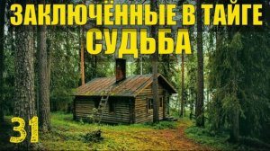 ЗОЛОТО В ШАХТЕ ПРИИСК ДОБЫЧА ЗАКЛЮЧЕННЫЕ В ТАЙГЕ  ЖИЗНЬ В ЛЕСУ ПРИИСК ИЗБУШКА СТАРАТЕЛИ 31