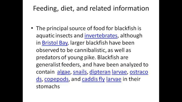 Alaska blackfish смотреть онлайн