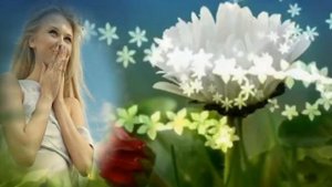 Ромашка белая лепесточки нежные.