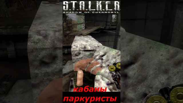 #shorts #S.T.A.L.K.E.R #НАРЕЗКА # ПРИКОЛ # кабаны паркуристы