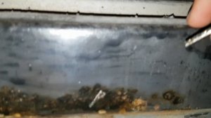 Жидкий пластик на порогах спустя 6 месяцев | эксперимент с антикорозийным покрытием