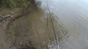 Рыбалка на фидер в Новосибирске. р. Обь-ЗЕЛЁНЫЙ МЫС. Монтаж инлайн. Feeder fishing on the river.