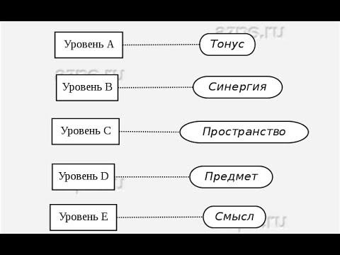 Общая психология. Пять уровней построения движений. Н. А. Бернштейн. С примерами