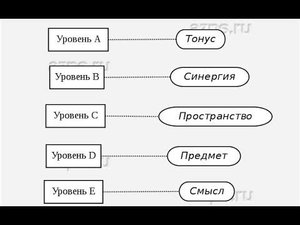 Общая психология. Пять уровней построения движений. Н. А. Бернштейн. С примерами