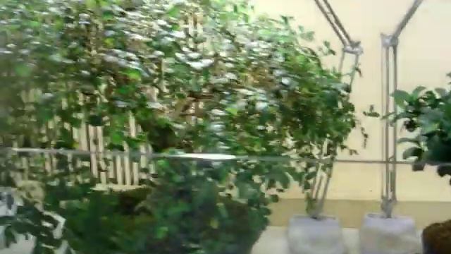 100_5642.MOV смотреть онлайн