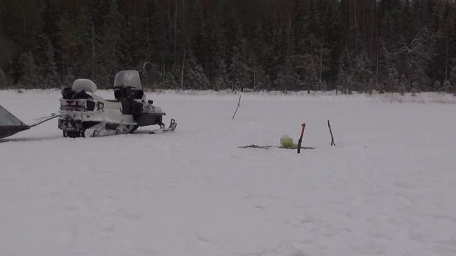 на снегоходе в избушку.лес.рыбалка.озеро.8.01. 2020 год.