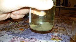 Жидкий мицелий есть!