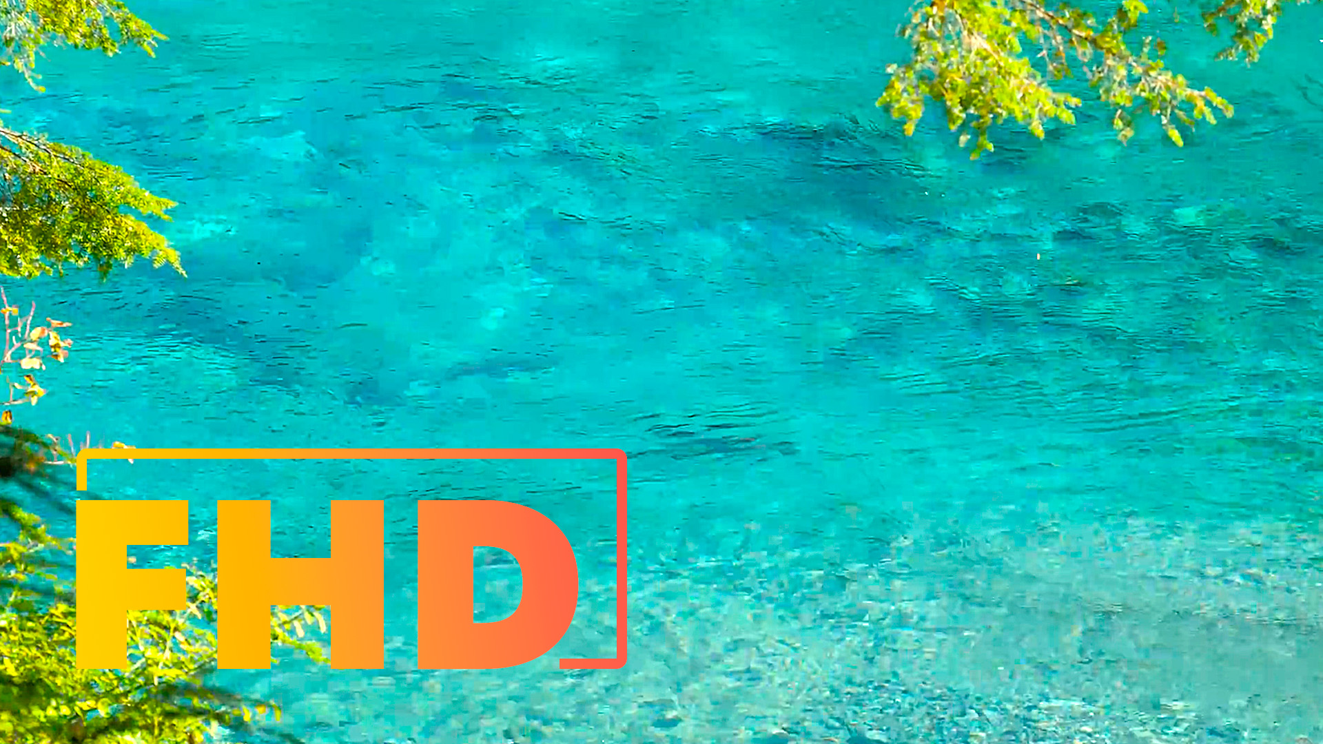 Журчание ручья. Успокаивающее звуки природы. Видовое видео 1 час.