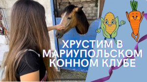 ХРУСТЯЩИЙ ВЛОГ ИЗ МАРИУПОЛЬСКОГО КОННОГО КЛУБА