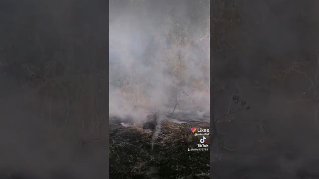 Like_7124187233600346627.mp4 смотреть онлайн