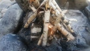 Экспресс розжиг костра жидкостью для розжига Grinfor, Алтай, Катунь