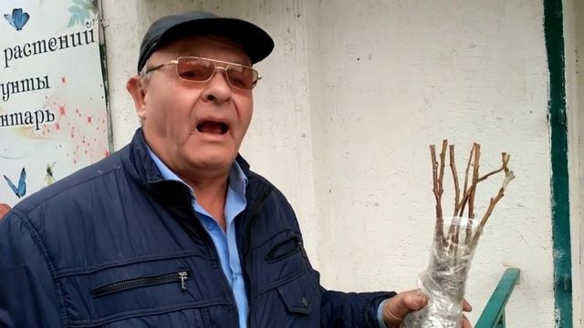 Малина.Упаковка , перевозка, пересадка. смотреть онлайн