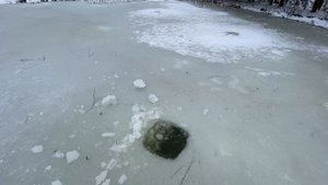 Что делать чтобы рыба не задохнулась. Опустил камеру на дно. Пруд на участке.