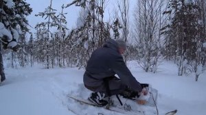 Охота на  боровую дичь,  с ТОЗ-25 16 калибра часть 2