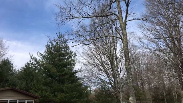 Наша Красивая и Полноводная Река Ак Бура. Лисья Нора, Горный Штат Нью Йорк. 14 апреля 2010 г смотреть онлайн