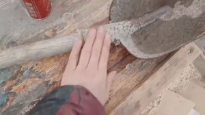 Советы дачникам. Чтобы не ломался черенок нужно досмотреть видео до конца.