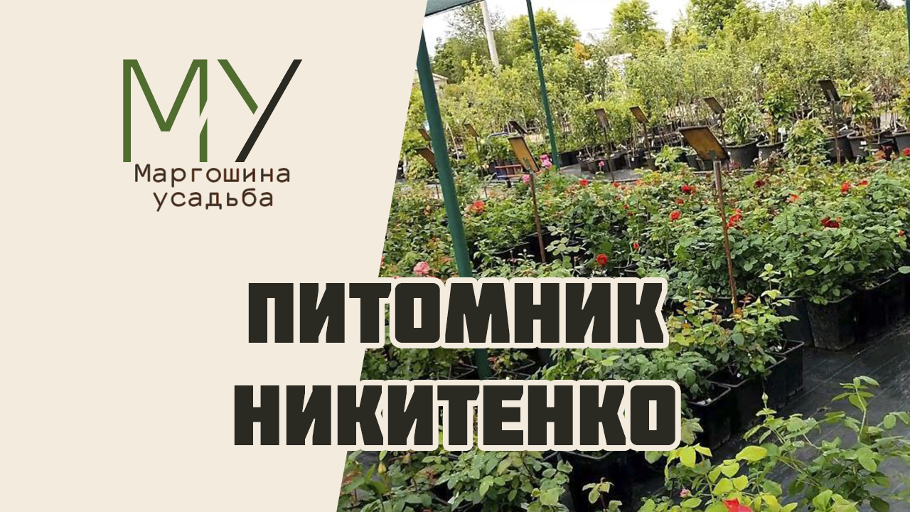 Обзор питомника Никитенко