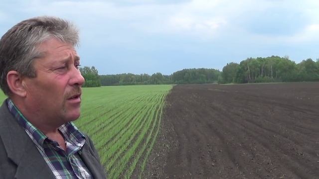 Арест посевных в Ордынском районе, село Шайдуровское. 4 смотреть онлайн