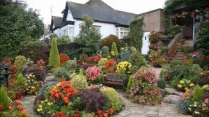 Ландшафтный дизайн цветов