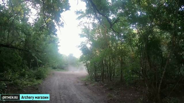 Охота на кабана с луком с подхода.