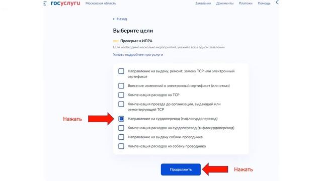 Региональные выплаты через госуслуги