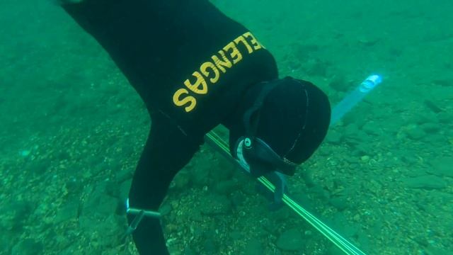 Home of Catfish in Beaver Lake, Arkansas, USA. July. Где Живет Сом в Озере Бивер, Арканзас, США смотреть онлайн