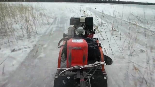 На собаке по озеру.avi смотреть онлайн