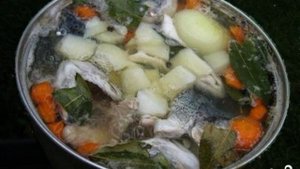 Уха из форели