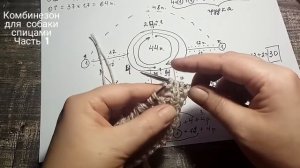 Комбинезон для собаки спицами, часть 1, DIY suit for dogs & cats