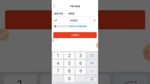 КАК ПРОЙТИ РЕГИСТРАЦИЮ НА САЙТЕ Pinduoduo  Вам об этом никто не расскажет #пиндоудо#регистрации