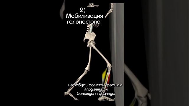 КАК ИЗБЕЖАТЬ ТРАВМ ВО ВРЕМЯ БЕГА❓