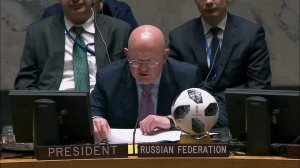 В.А.Небензя в СБ ООН о резолюции по Международному остаточного механизма для уголовных трибуналов