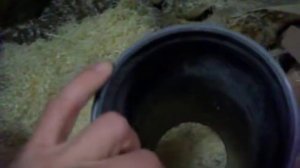 Топливный брикет из стружки и опилок.