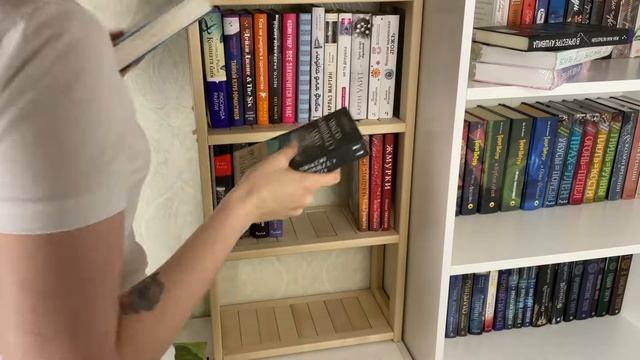 КНИЖНЫЕ ПОЛКИ 2023 | мой книжный шкаф | расставляем книги