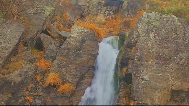 Наш общий дом удивительно прекрасен смотреть онлайн